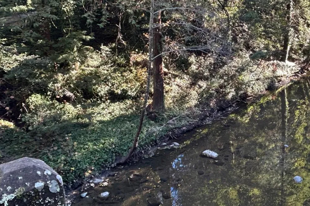 Riverside Road Brookdale, CA 95007