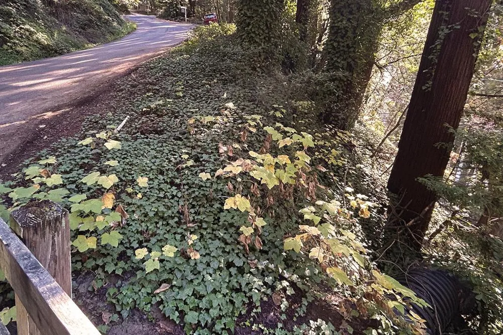 Riverside Road Brookdale, CA 95007