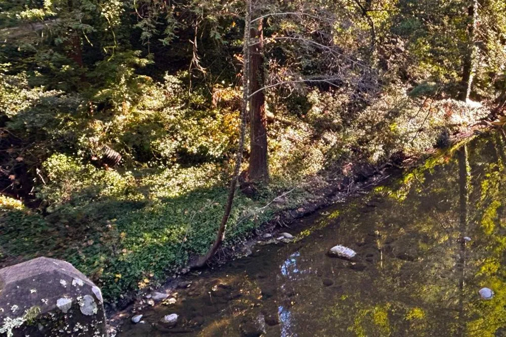 Riverside Road Brookdale, CA 95007