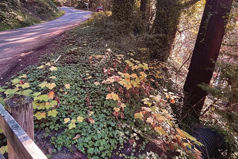 Riverside Road Brookdale, CA 95007