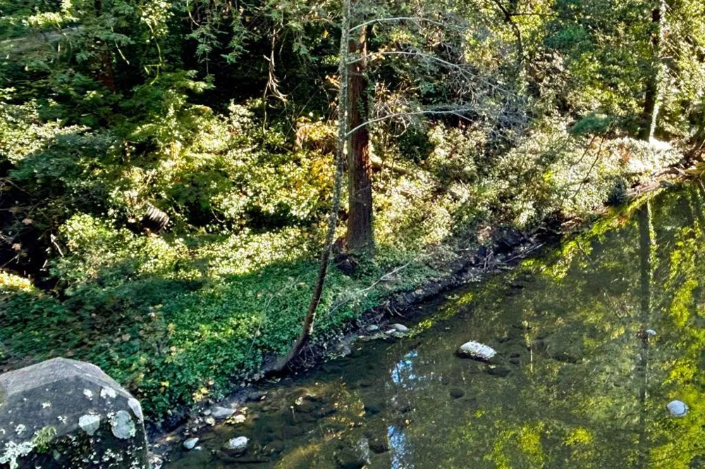 Riverside Road Brookdale, CA 95007