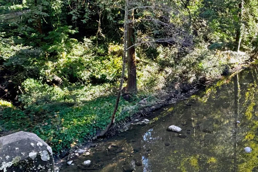 Riverside Road Brookdale, CA 95007