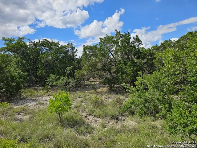 PR 1747 LOT 347 Mico, TX 78056
