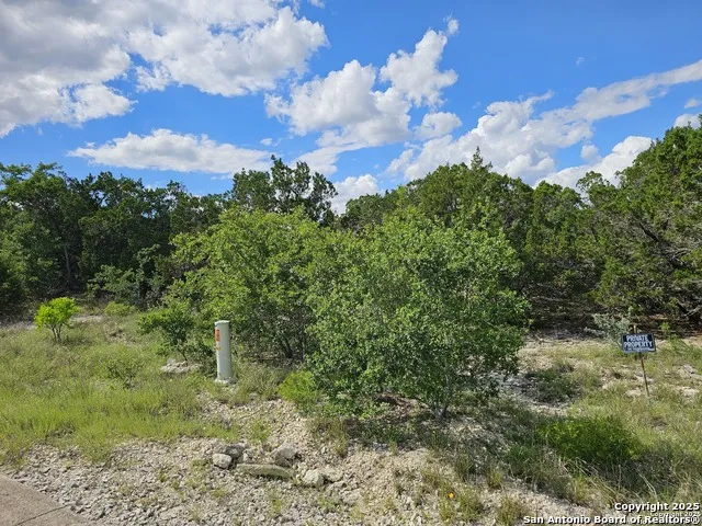 PR 1747 LOT 347 Mico, TX 78056