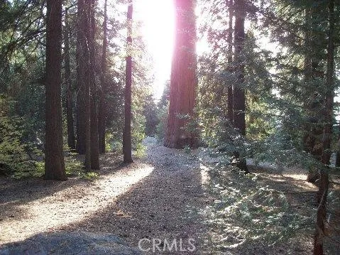 54584 Ponderosa Drive Springville, CA 93265