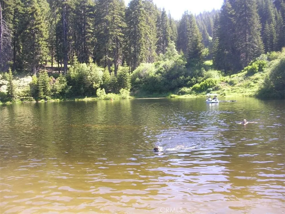 54584 Ponderosa Drive Springville, CA 93265