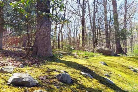 Pine Road & Pepperidge Road