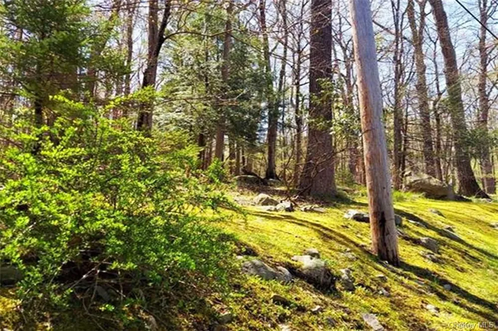 Pine Road & Pepperidge Road Tuxedo Park, NY 10987