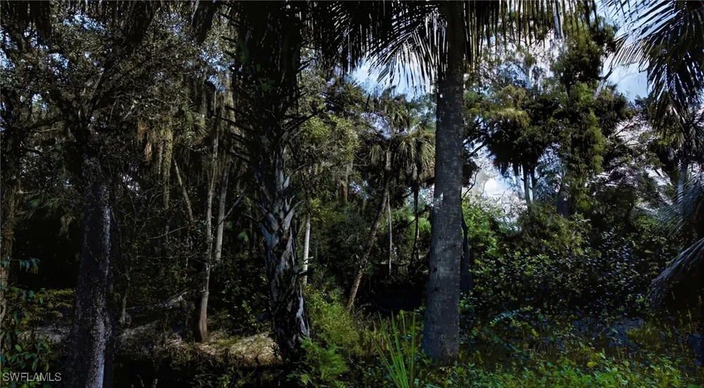 Carpenter Lane Bonita Springs, FL 34135
