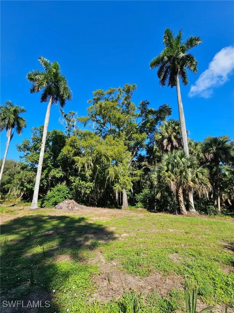 Carpenter Lane Bonita Springs, FL 34135