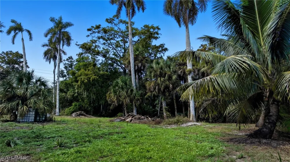 Carpenter Lane Bonita Springs, FL 34135