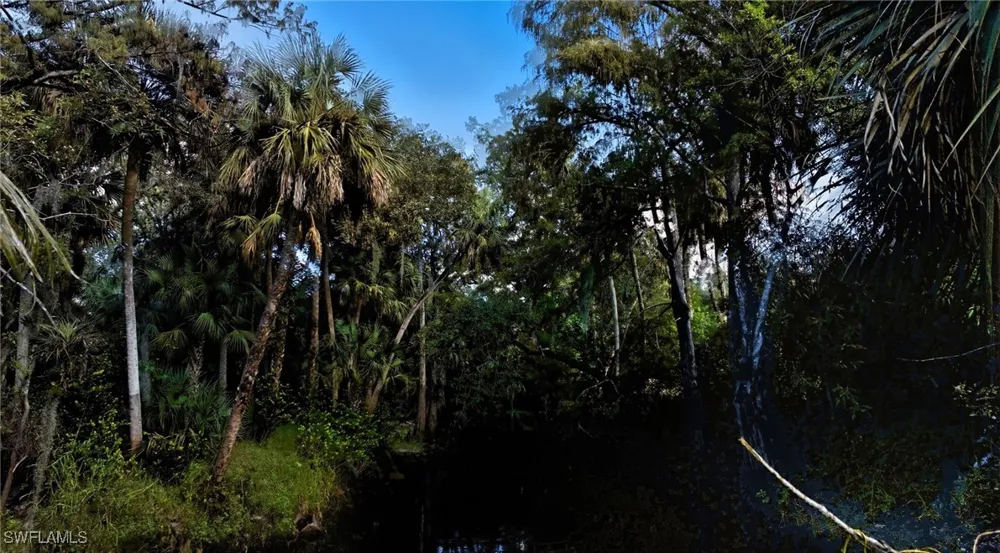 Carpenter Lane Bonita Springs, FL 34135