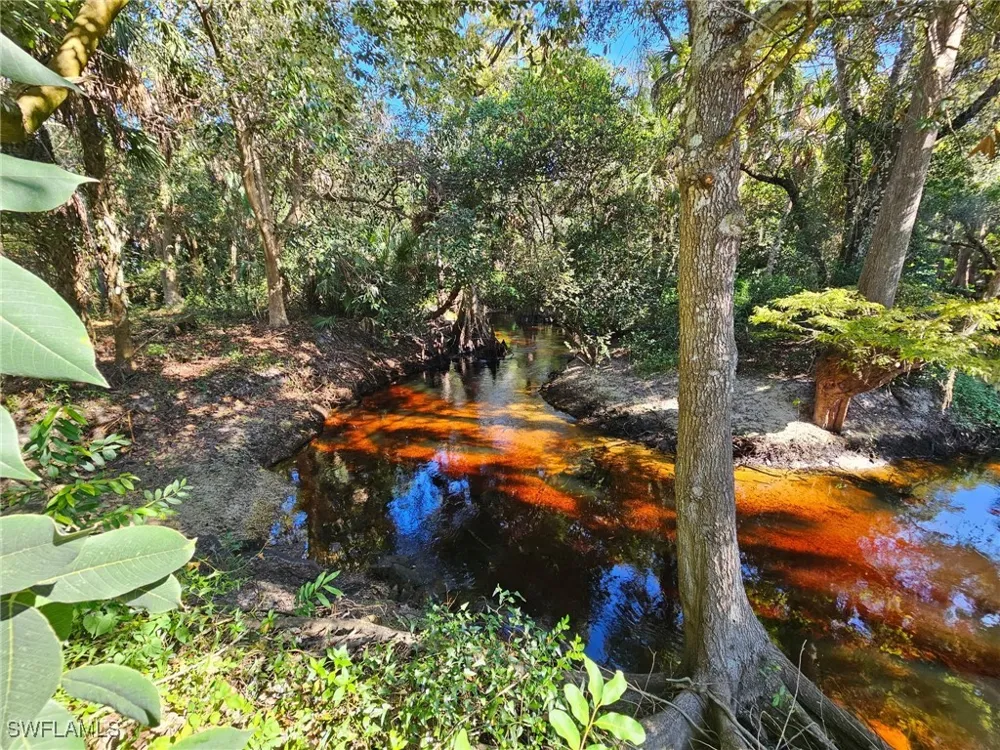 Carpenter Lane Bonita Springs, FL 34135