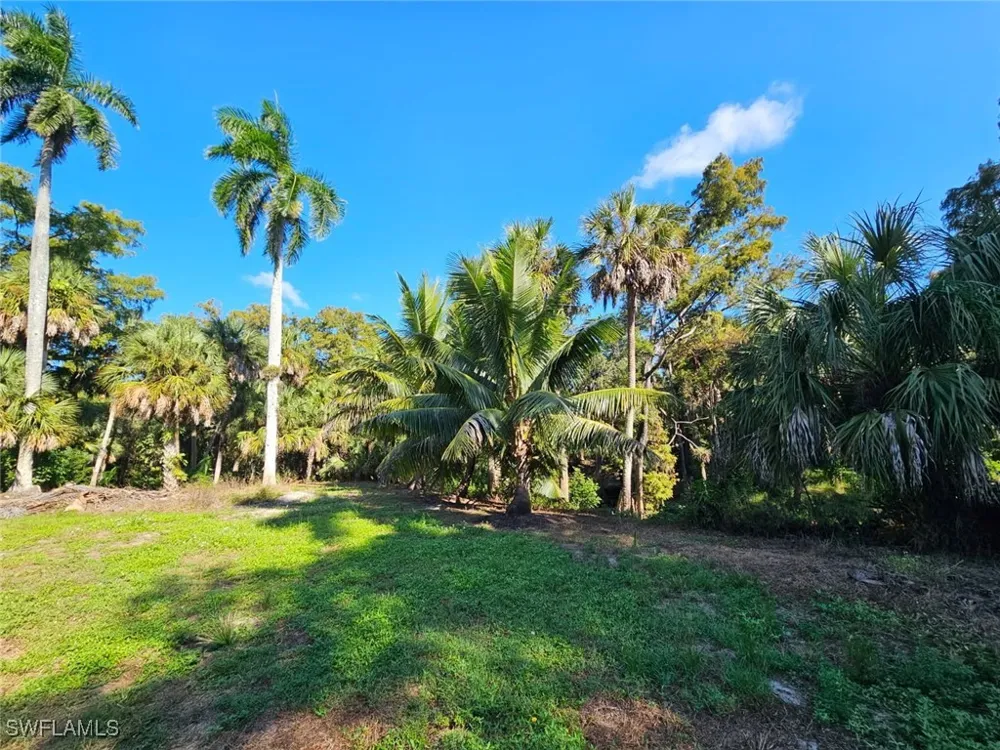 Carpenter Lane Bonita Springs, FL 34135