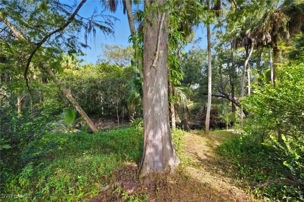 Carpenter Lane Bonita Springs, FL 34135