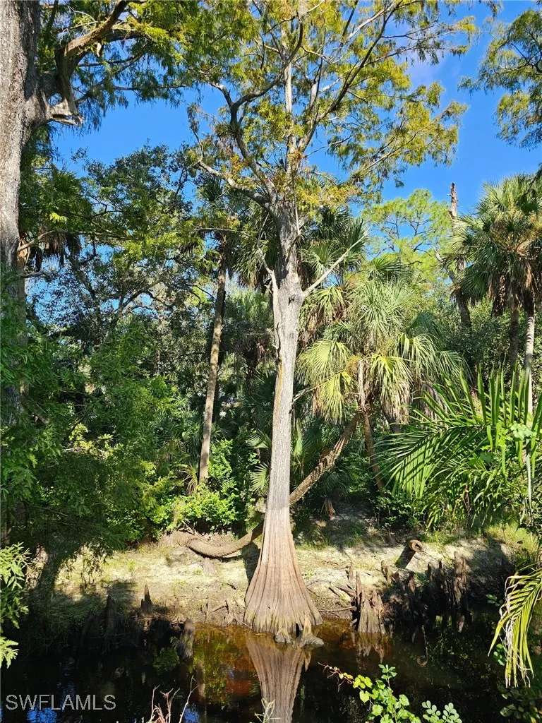 Carpenter Lane Bonita Springs, FL 34135