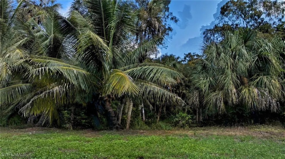 Carpenter Lane Bonita Springs, FL 34135