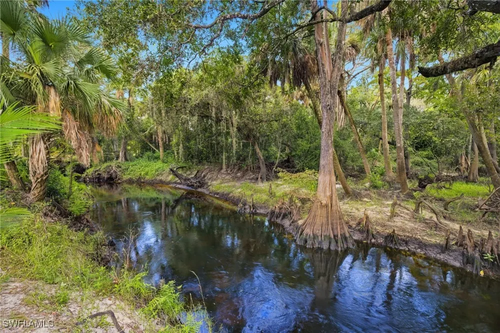 Carpenter Lane Bonita Springs, FL 34135