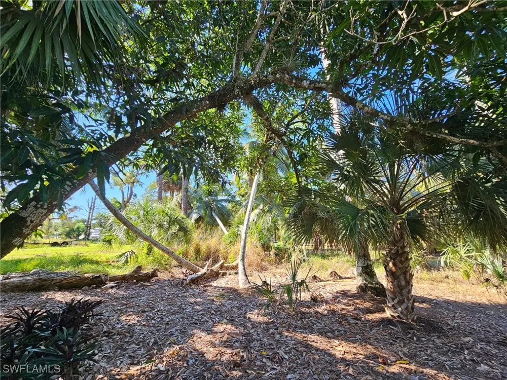 Carpenter Lane Bonita Springs, FL 34135