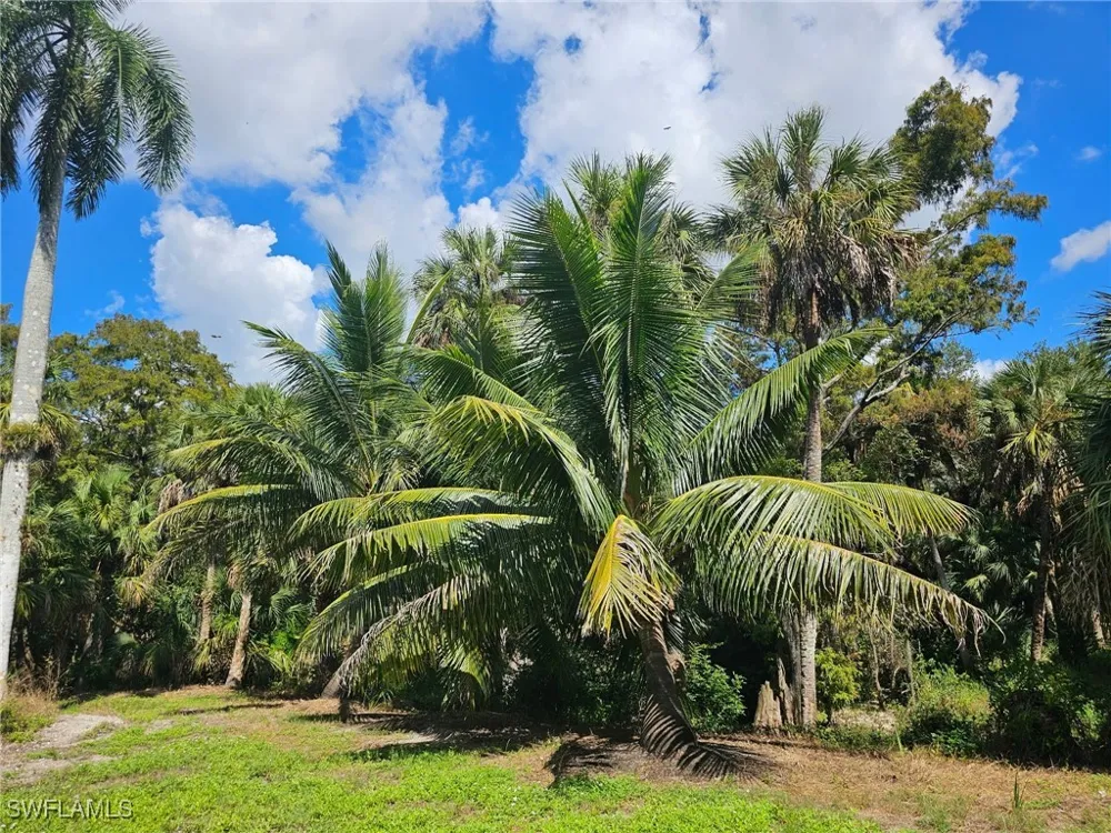 Carpenter Lane Bonita Springs, FL 34135
