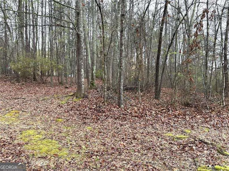 2930 113 HWY Carrollton, GA 30117