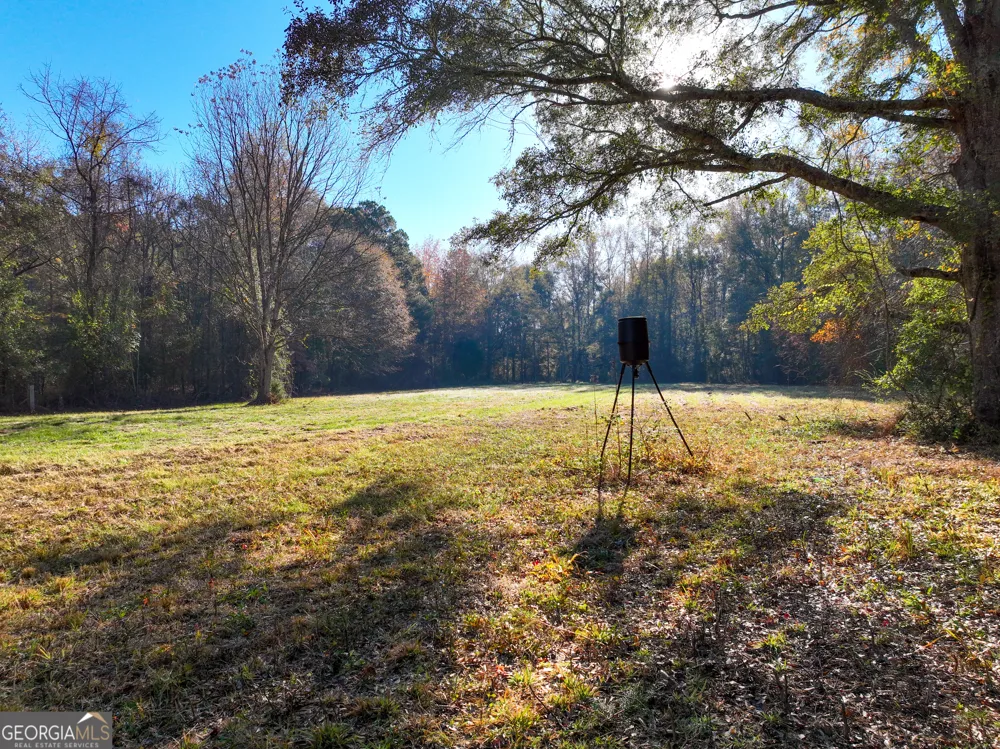 56 Ivey CIR Forsyth, GA 31029