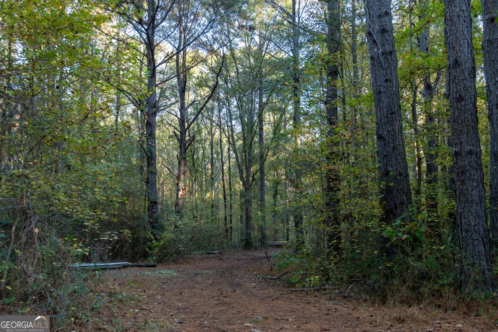 56 Ivey CIR Forsyth, GA 31029