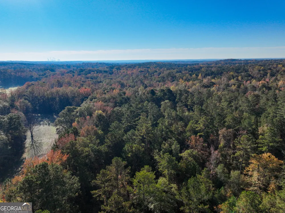 56 Ivey CIR Forsyth, GA 31029