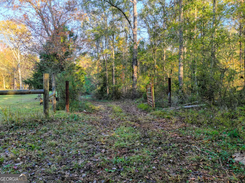 56 Ivey CIR Forsyth, GA 31029