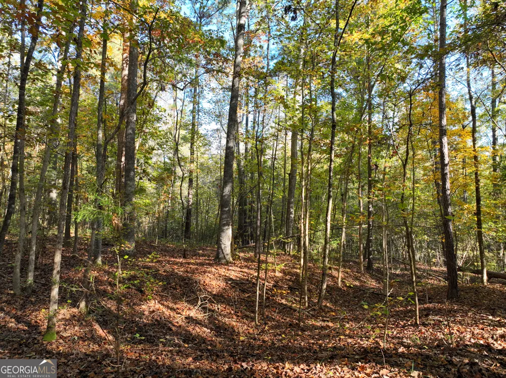 56 Ivey CIR Forsyth, GA 31029