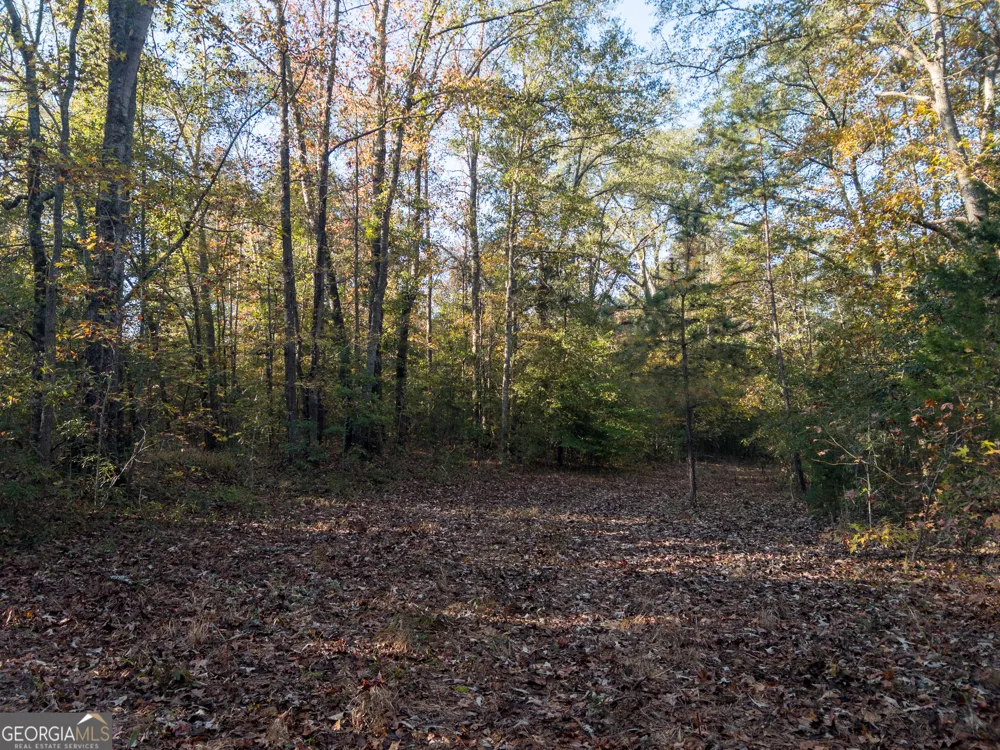 56 Ivey CIR Forsyth, GA 31029