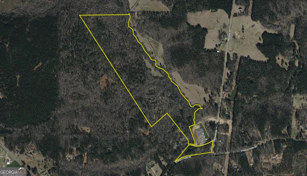 56 Ivey CIR Forsyth, GA 31029
