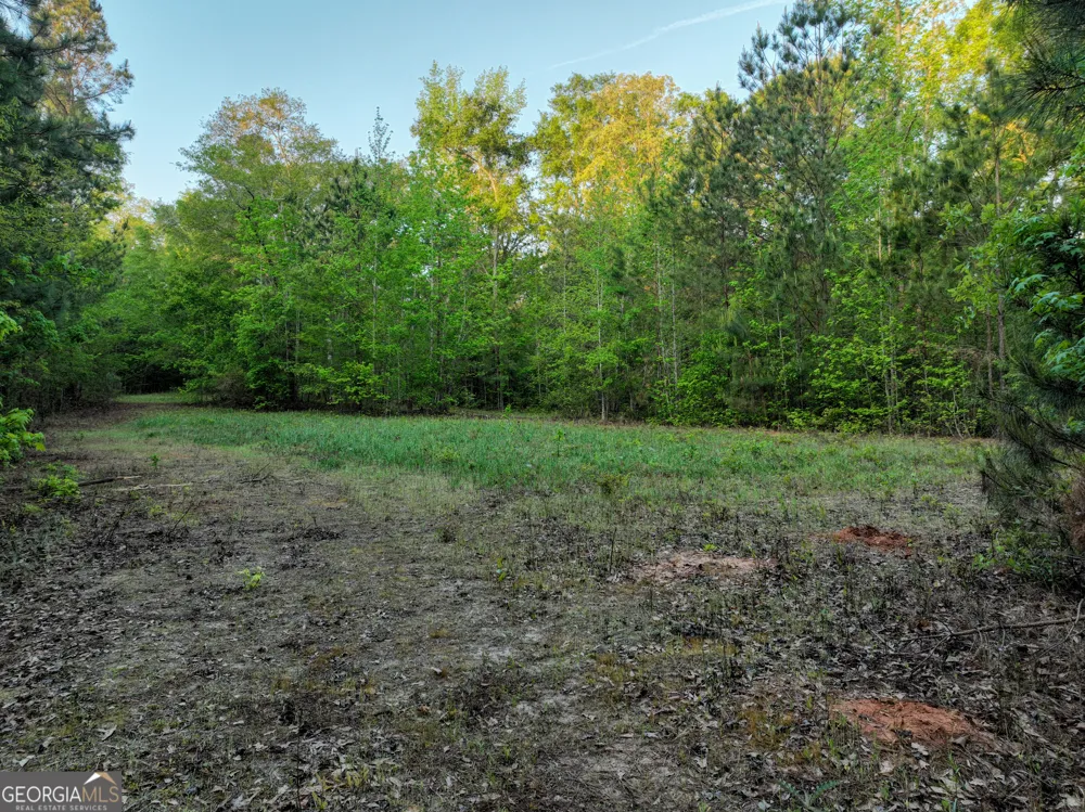 56 Ivey CIR Forsyth, GA 31029
