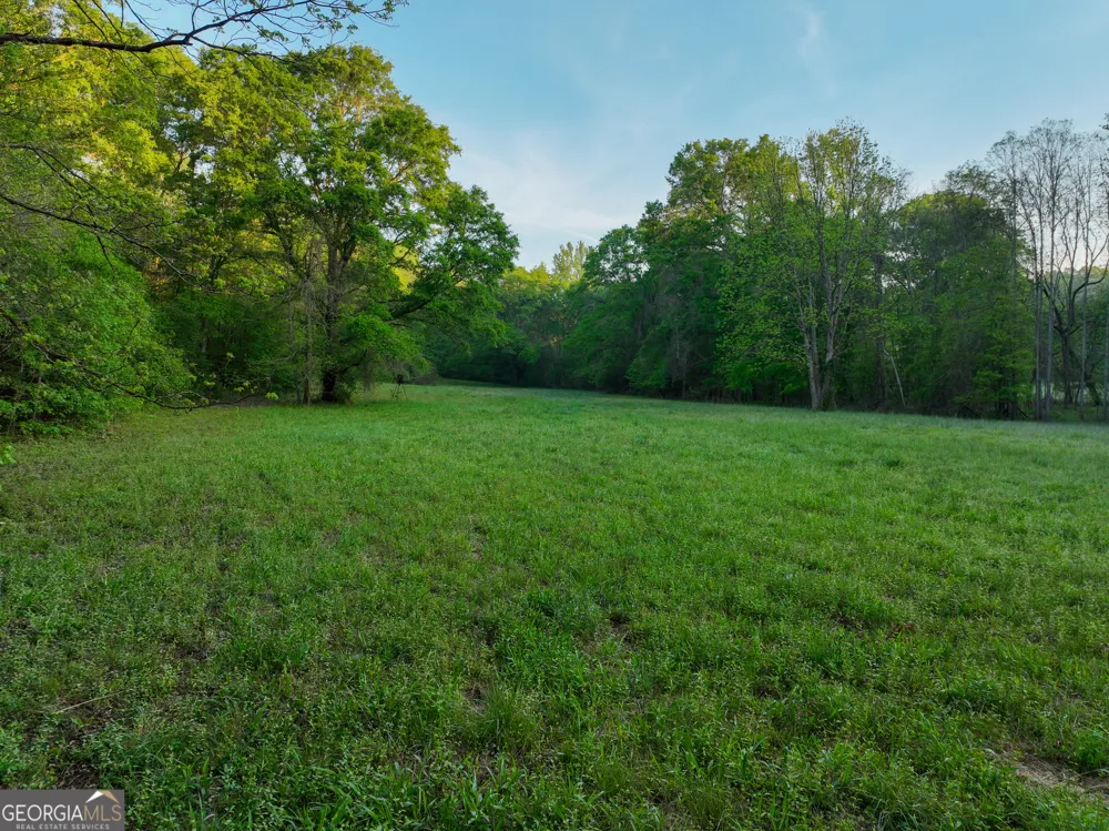 56 Ivey CIR Forsyth, GA 31029