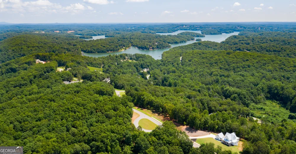 6825 Lookout PT Dawsonville, GA 30534