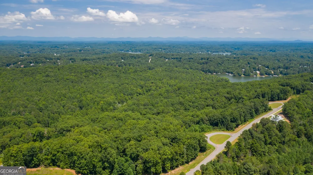 6825 Lookout PT Dawsonville, GA 30534