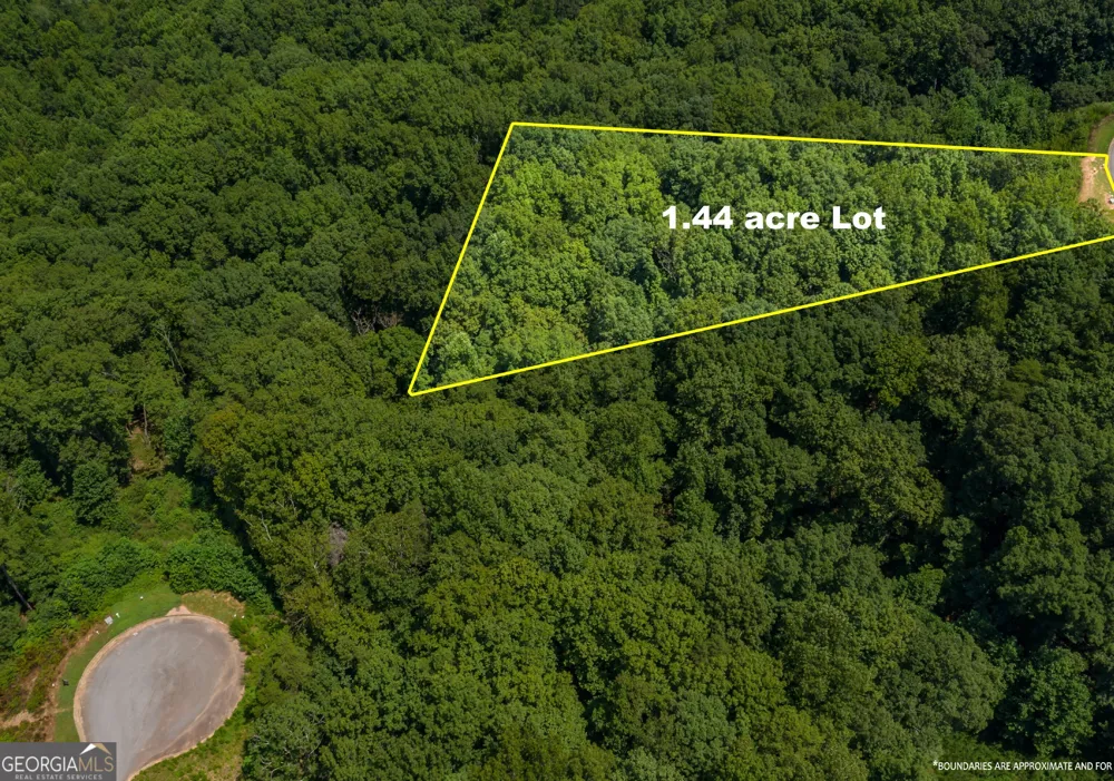 6825 Lookout PT Dawsonville, GA 30534