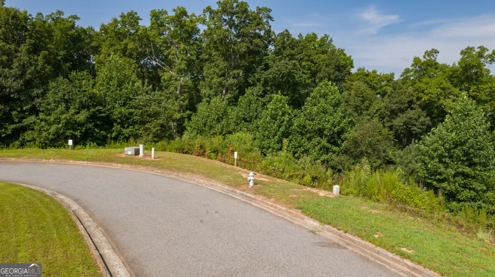 6825 Lookout PT Dawsonville, GA 30534