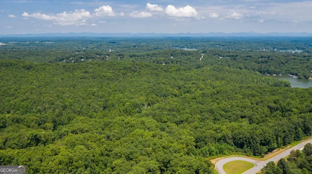 6825 Lookout PT Dawsonville, GA 30534