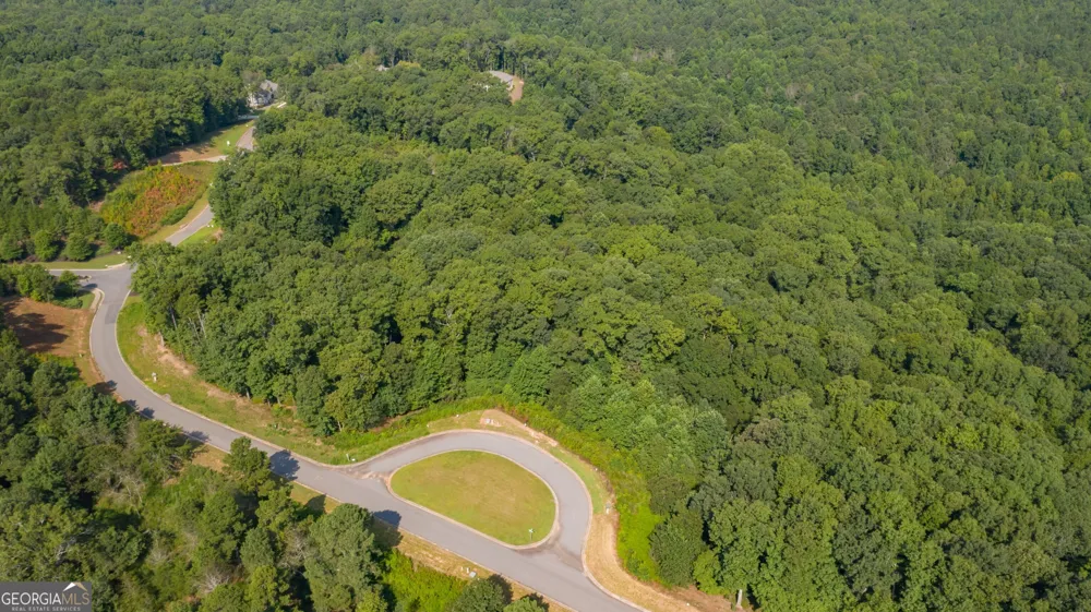 6825 Lookout PT Dawsonville, GA 30534