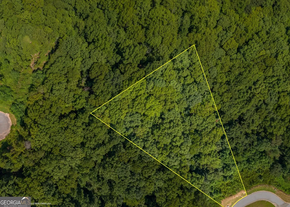 6825 Lookout PT Dawsonville, GA 30534
