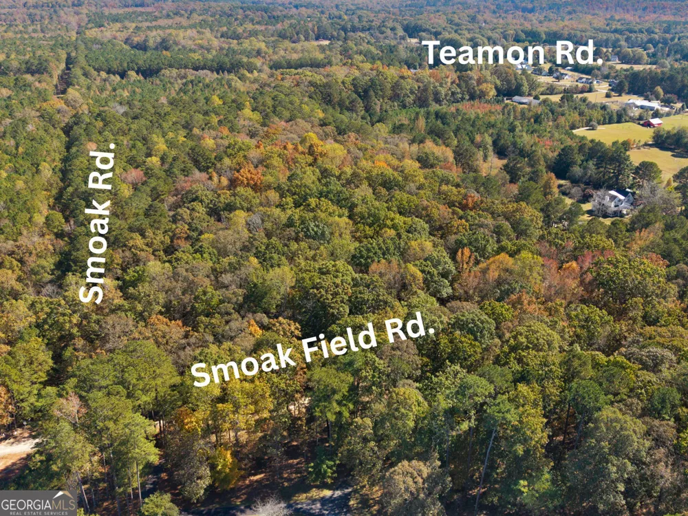 176 Smoak Field RD Griffin, GA 30223