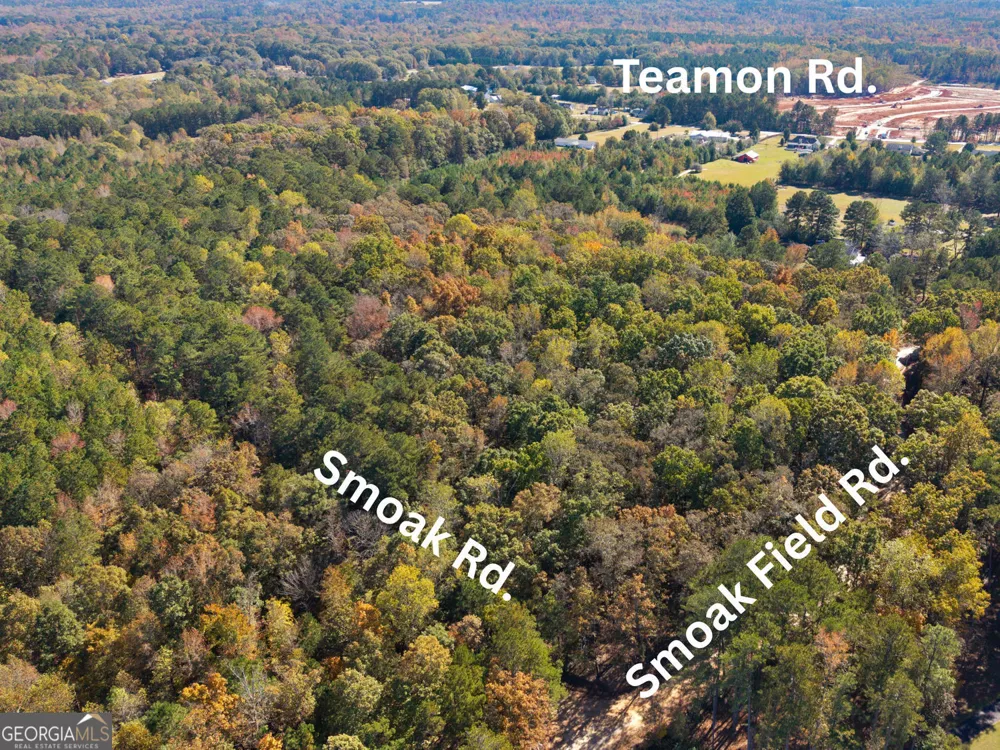 176 Smoak Field RD Griffin, GA 30223