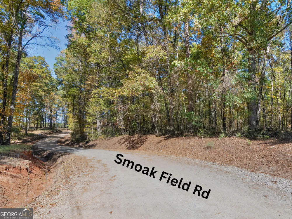 176 Smoak Field RD Griffin, GA 30223