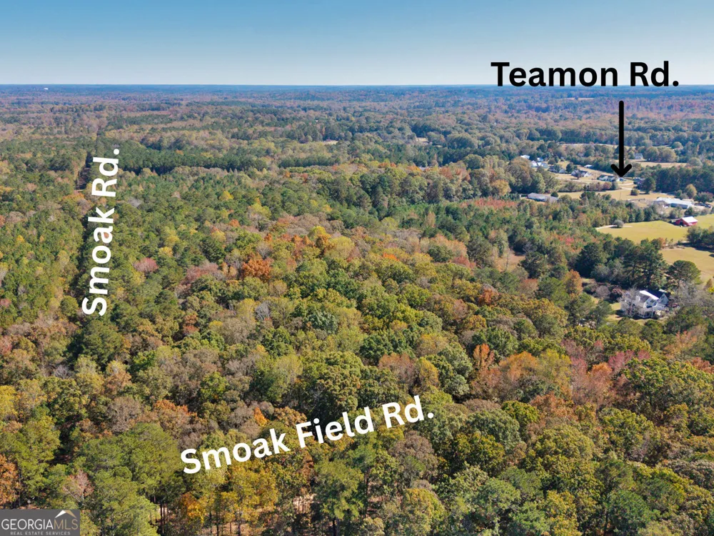 176 Smoak Field RD Griffin, GA 30223