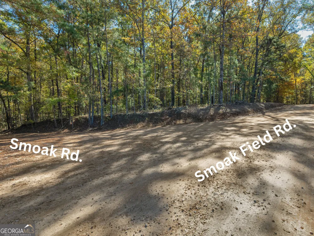 176 Smoak Field RD Griffin, GA 30223