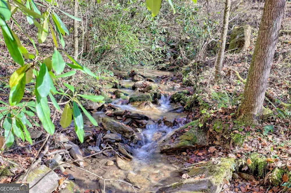 1307 Clear Creek RD Hayesville, NC 28904