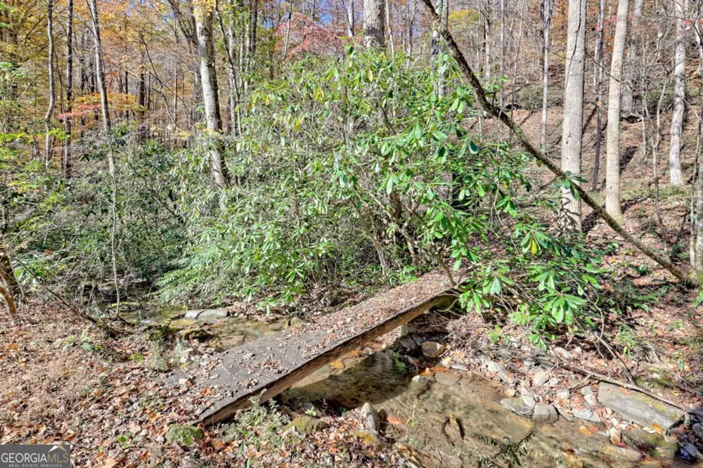 1307 Clear Creek RD Hayesville, NC 28904