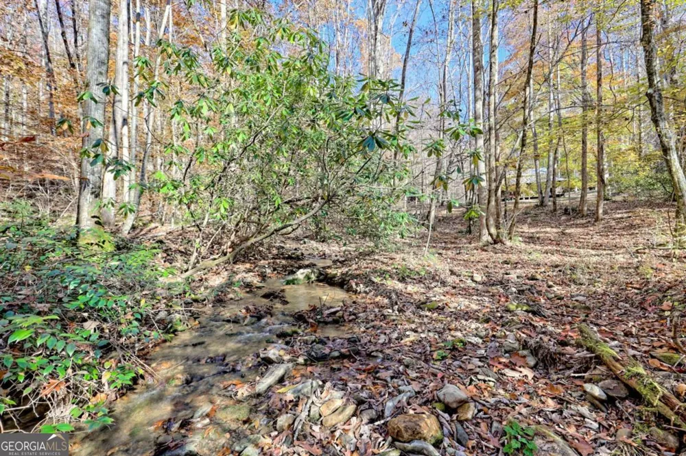 1307 Clear Creek RD Hayesville, NC 28904