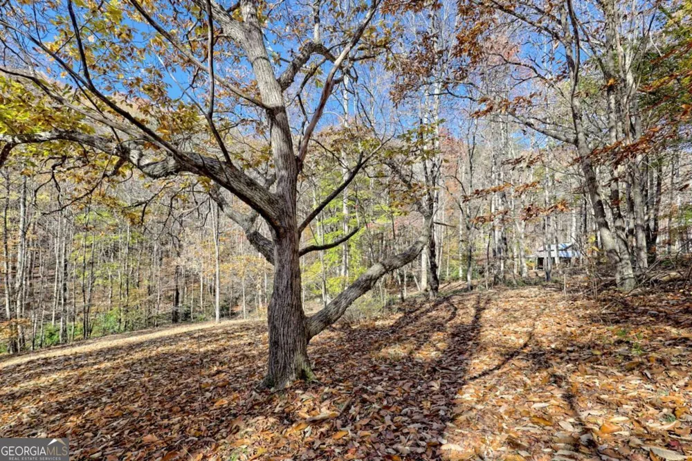 1307 Clear Creek RD Hayesville, NC 28904